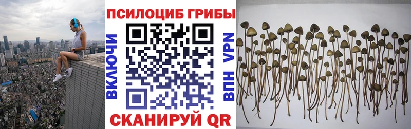 Купить закладки  Мариинск  Галлюциногенные грибы Magic Shrooms 